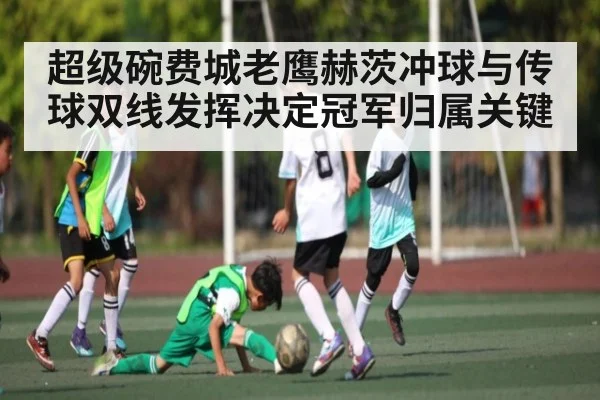 超级碗费城老鹰赫茨冲球与传球双线发挥决定冠军归属关键